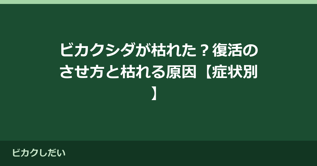 ビカクシダが枯れた？復活のさせ方と枯れる原因【症状別】