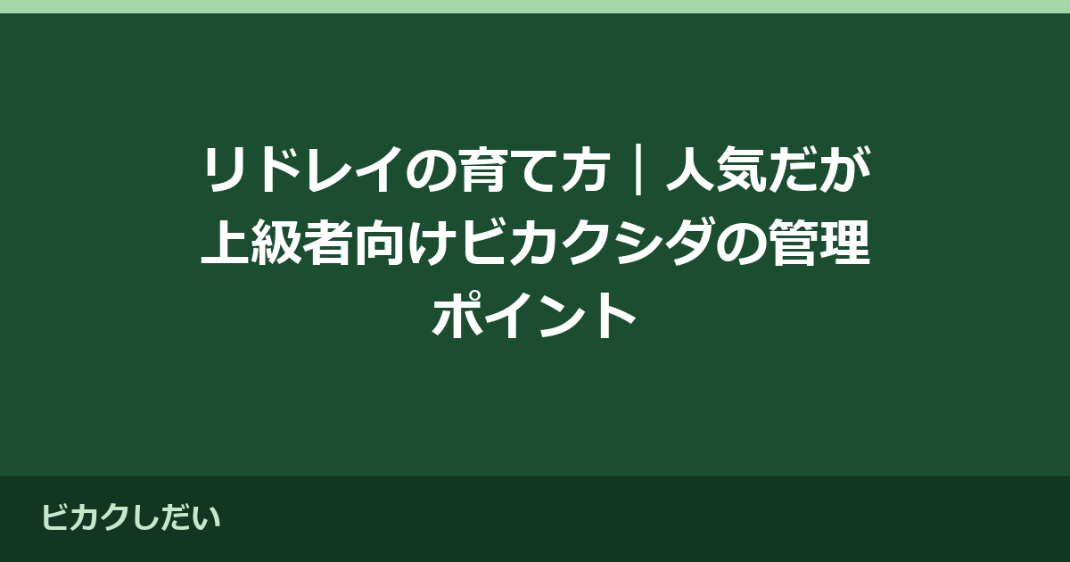 リドレイの育て方｜人気だが上級者向けビカクシダの管理ポイント