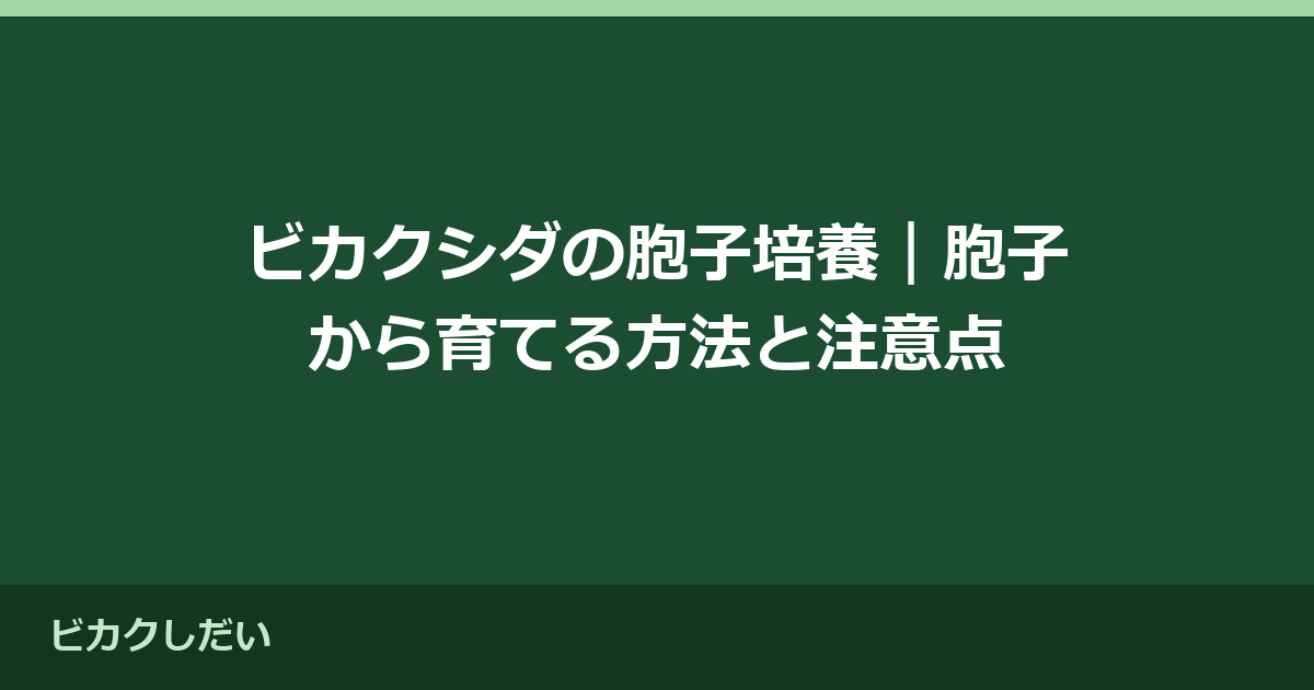 ビカクシダの胞子培養｜胞子から育てる方法と注意点