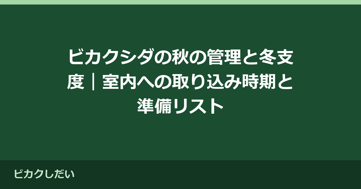 ビカクシダの秋の管理と冬支度｜室内への取り込み時期と準備リスト