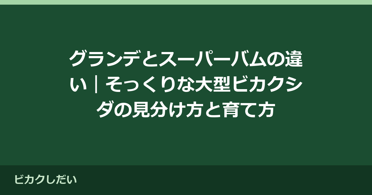 グランデとスーパーバムの違い｜そっくりな大型ビカクシダの見分け方と育て方