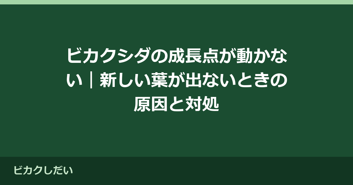 ビカクシダの成長点が動かない｜新しい葉が出ないときの原因と対処