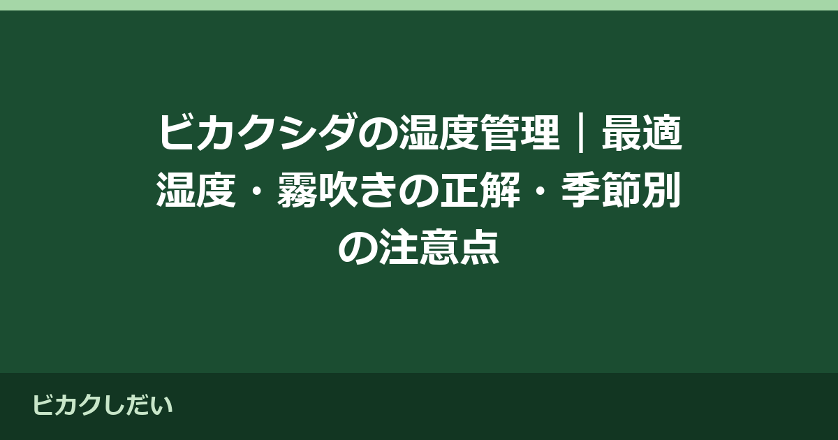 ビカクシダの湿度管理｜最適湿度・霧吹きの正解・季節別の注意点