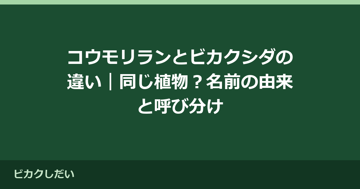 コウモリランとビカクシダの違い｜同じ植物？名前の由来と呼び分け