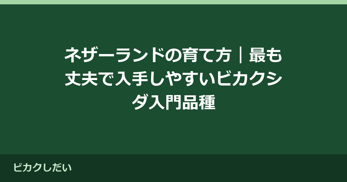 ネザーランドの育て方｜最も丈夫で入手しやすいビカクシダ入門品種