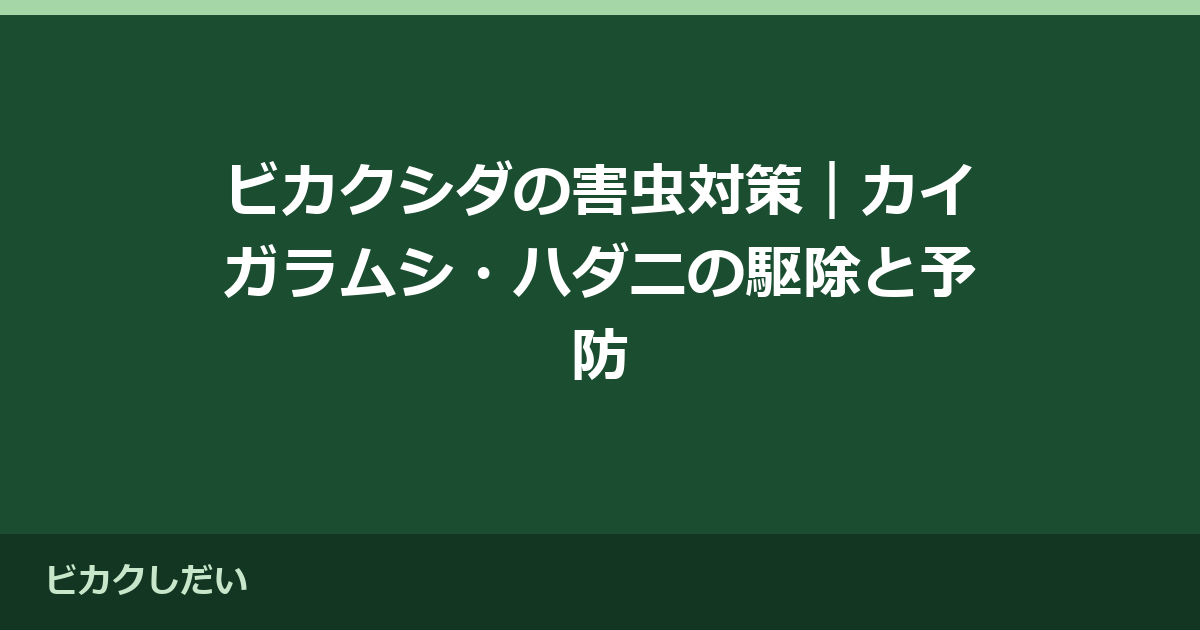 ビカクシダの害虫対策｜カイガラムシ・ハダニの駆除と予防