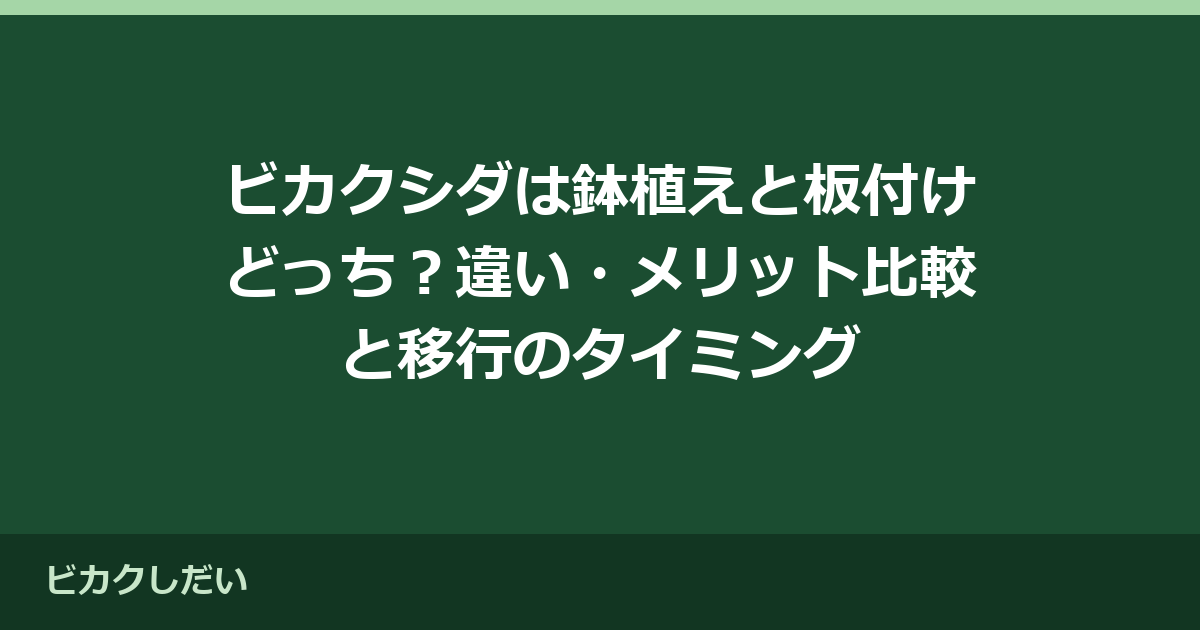 ビカクシダは鉢植えと板付けどっち？違い・メリット比較と移行のタイミング