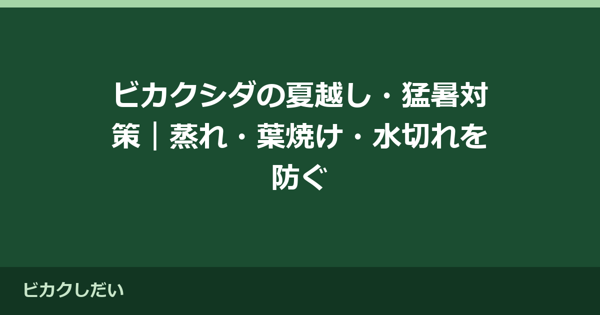 ビカクシダの夏越し・猛暑対策｜蒸れ・葉焼け・水切れを防ぐ