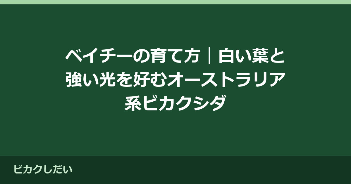 ベイチーの育て方｜白い葉と強い光を好むオーストラリア系ビカクシダ