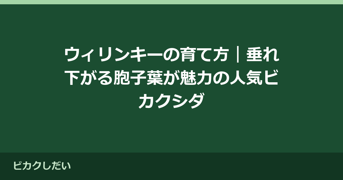 ウィリンキーの育て方｜垂れ下がる胞子葉が魅力の人気ビカクシダ